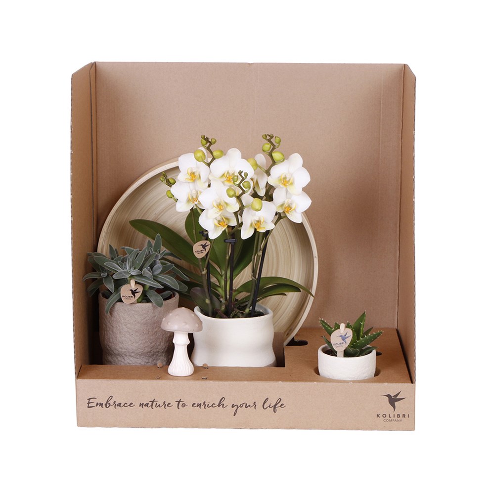 Botanical Giftset large - Serene Escape