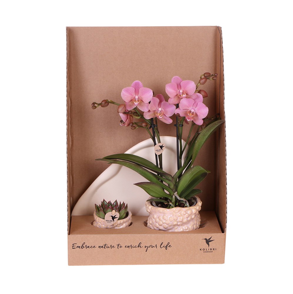 Botanical Giftset small - Coral Reef